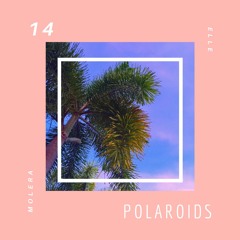14 Polaroids - Demo