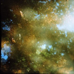 December Fatigue (demo)