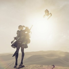 NieR Completion