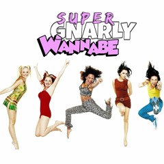 Spice Girls - Wannabe ( Super GNARLY Remix )