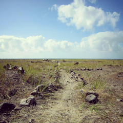 The Man Himself (Unmastered)