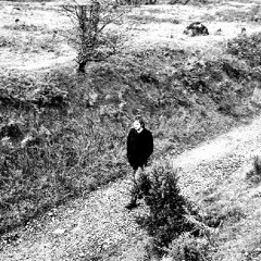 Old Miner's Song