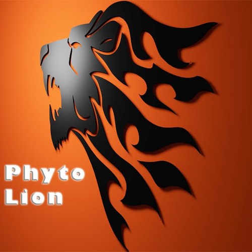 Phyto - Lion (Original Mix)