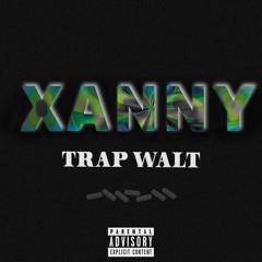 Trap Walt - P.A.X [Prod. By Day Six]