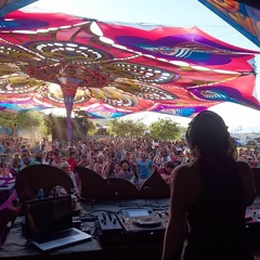 Renegade DJ :: Earthdance Cape Town :: September 2016