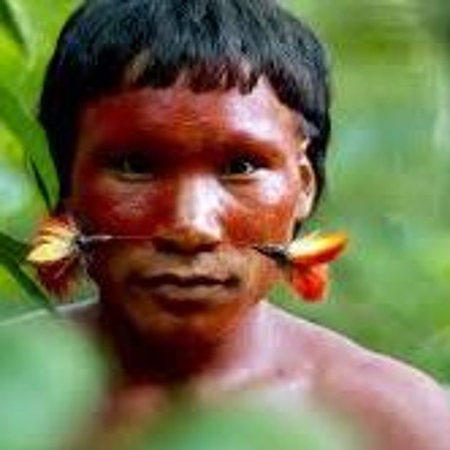 nf99FIRSTCONTACT sirobosi FRAWSTAKWA