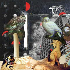 Winter 2016: A Slim Hope?