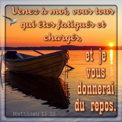 18-12-2016 Salvatore - Jésus a dit Venez à Moi vous tous qui êtes Fatigués et Chargés ... mais..
