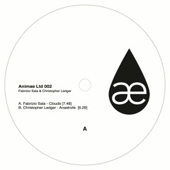 Fabrizio Sala & Christopher Ledger - Animae ltd 002 [ANIMAELTD]