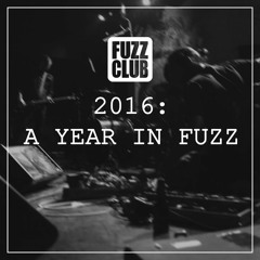2016: A Year In Fuzz