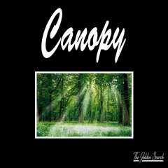 [TGS Premiere] Covinos - Canopy (Original Mix)