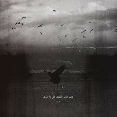 وين طاير بالهوى ؟