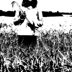 Little Hands