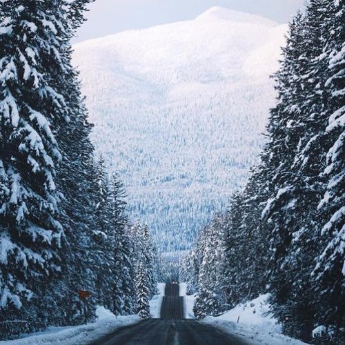 White Out