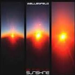 Wellenfeld - Sleepwalker