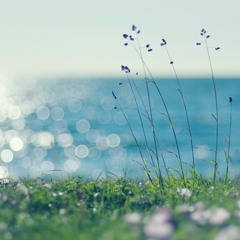 Bryan Schultz - Breeze (Original Mix)