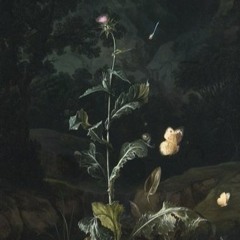 NOCTURNAL III