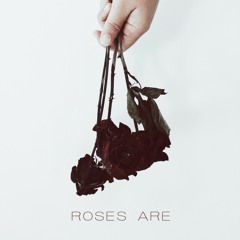 Roses Are (RED Remix)