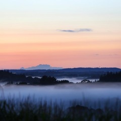 Benoit Lamothe - La Sucrerie Délicate (Rack.u Records)