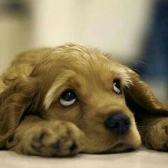 ((No Fui Lo Que Esperaba)) “Mc Yair Rapper.mp3