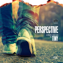Perspective, A Drum & Bass Mix by Tiny (2016)