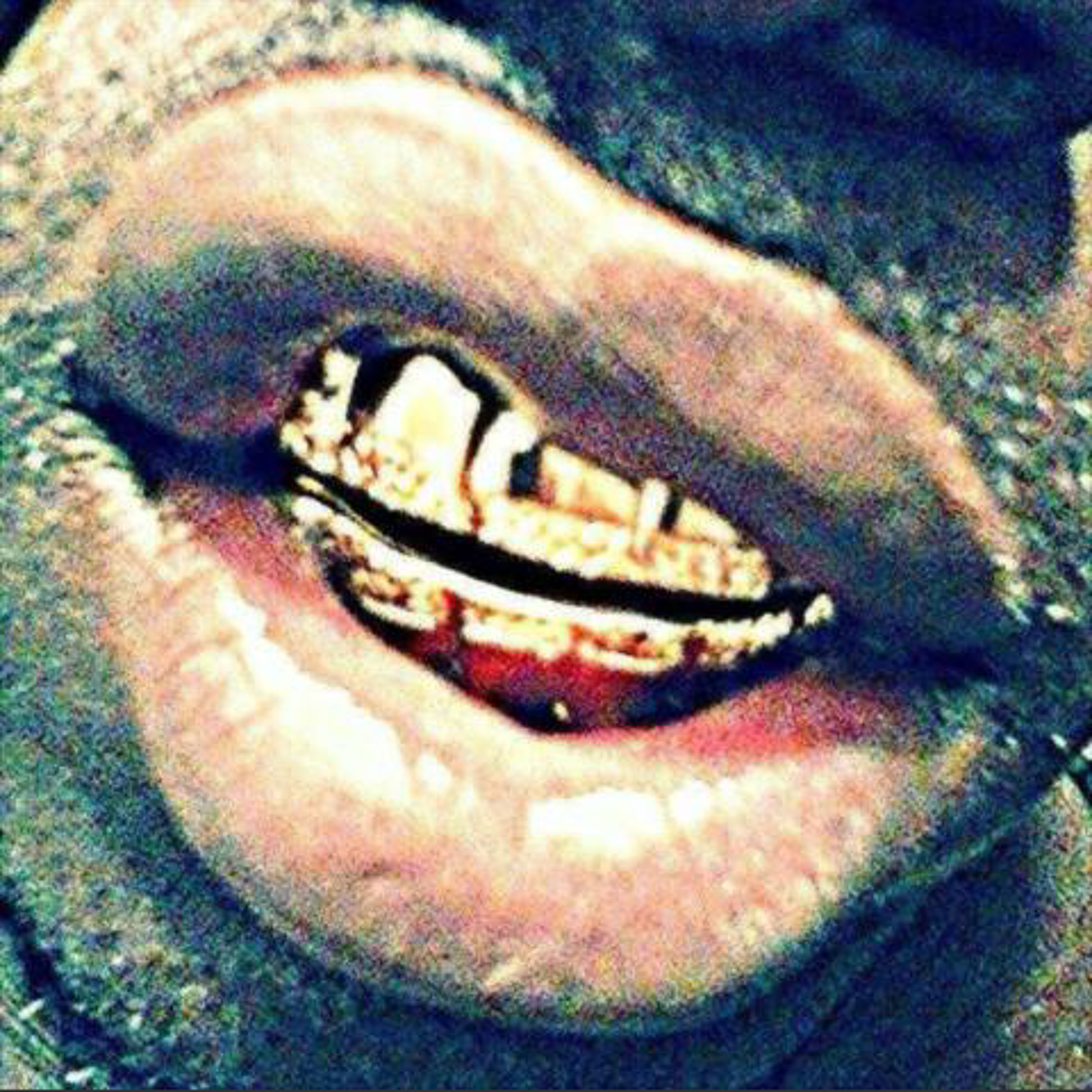 Snippets