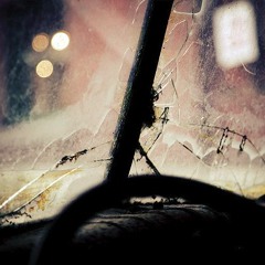 The Windshield
