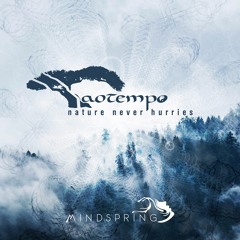 Taotempo - Nature Never Hurries [Mindspring Music]