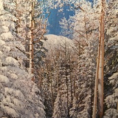 Winter Wonderland '16