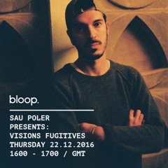 Visions Fugitives w/ Sau Poler - 22.12.2016