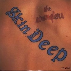 STRANGLERS - Skin Deep (Dj Nobody Pop Club Re Edit).mp3