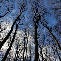 Winter 2016-2017
