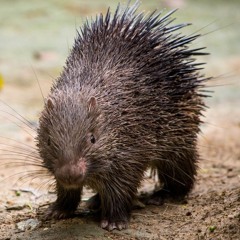 Art Teacher Diss Track