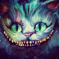 Öysä - Täydellisyyden Tavoittelu