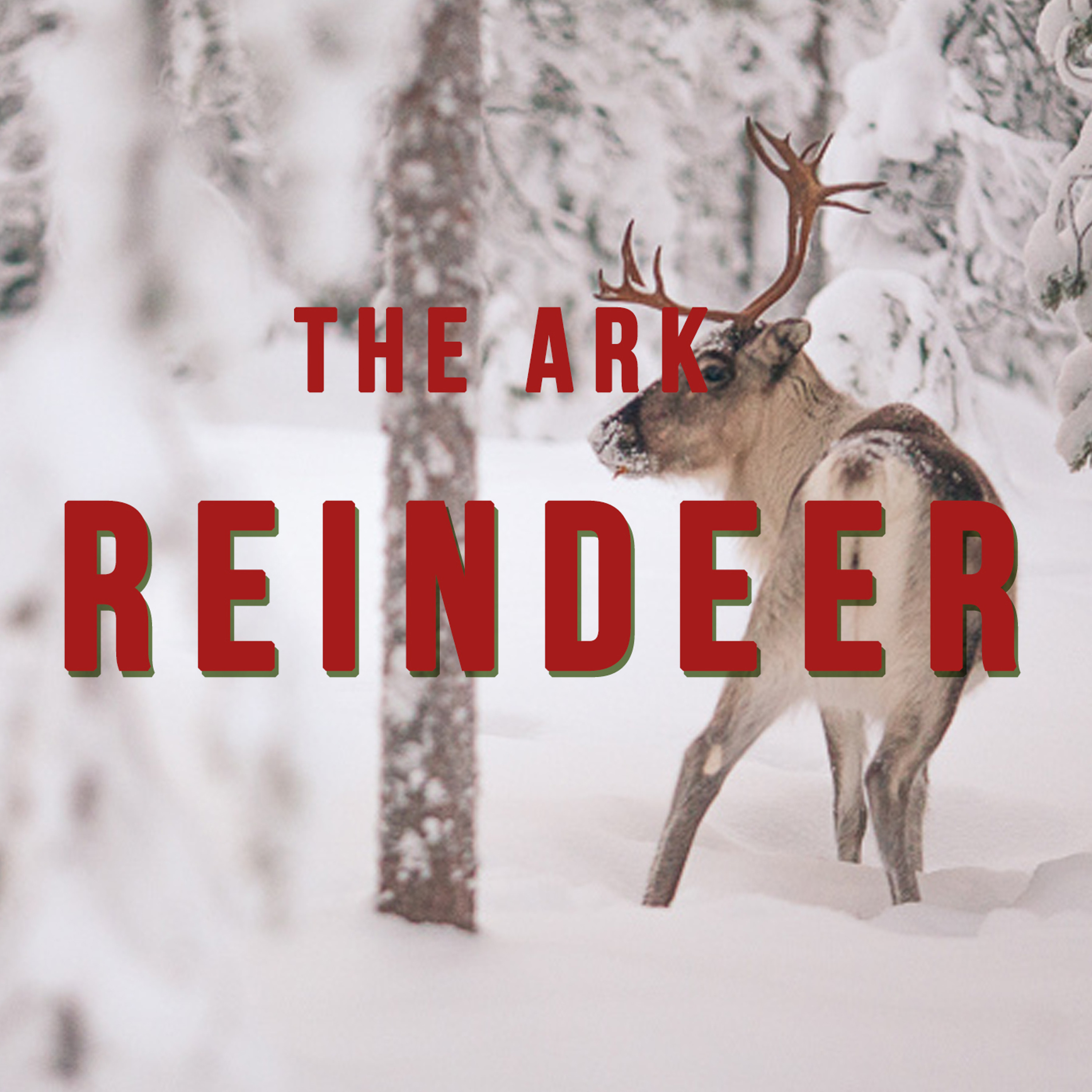 Episode 14 - Reindeer