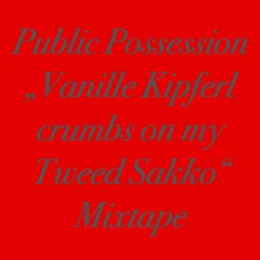 Stream episode PP "VANILLE KIPFERL CRUMBS ON MY TWEED SAKKO" MIXTAPE by  PUBLIC POSSESSION podcast | Listen online for free on SoundCloud