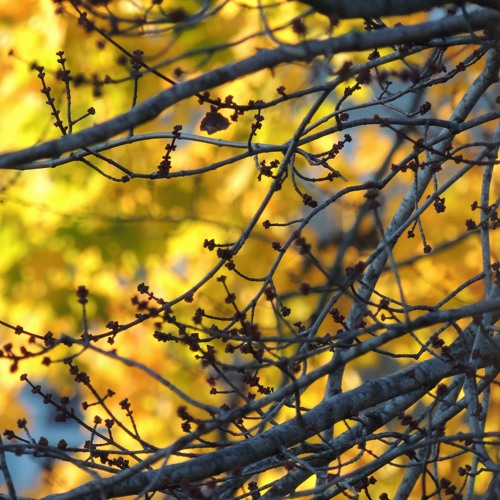 Soft Spoken Words (I don't mind)