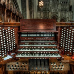 Devil`s Organ (Music by Dennis Tschirner)