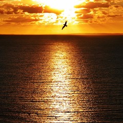 Horizon
