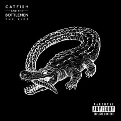 7- Catfish and the Bottlemen (uke cover)