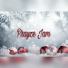 Christmas Cover