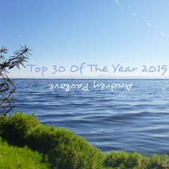 Top 30 Of The Year 2015 [15-01]