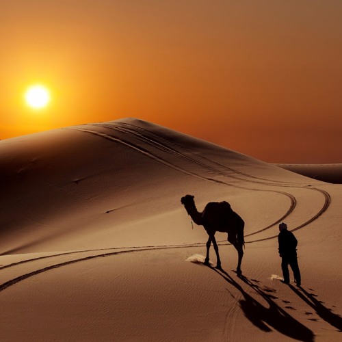 Rem Prod – Wandering Sunset