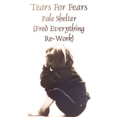 Tears For Fears - Pale Shelter(FredEverything Re-Work)