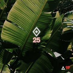 ♢ plusmood RADIO #25