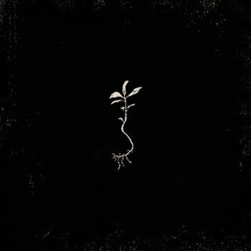 Wardruna - Laukr