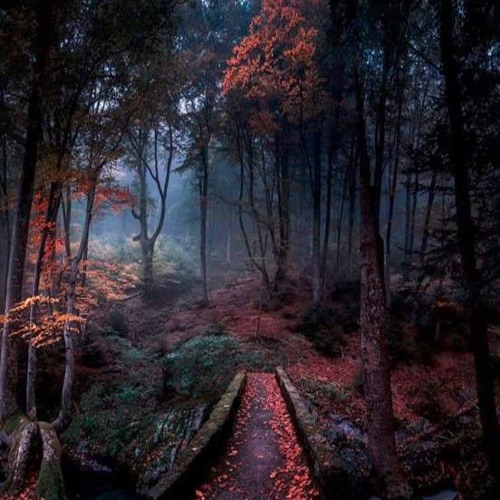 Incorruptible Twisted Forest