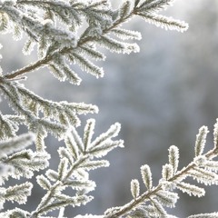 IVE GOT MY LOVE TO KEEP ME WARM