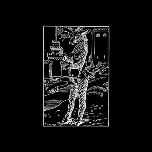 Ontal - PI02.2 [PI02 | Premiere]