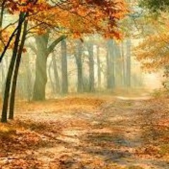 Folk/Americana/Indie/Alt/Reg/Etccc Vol.  1